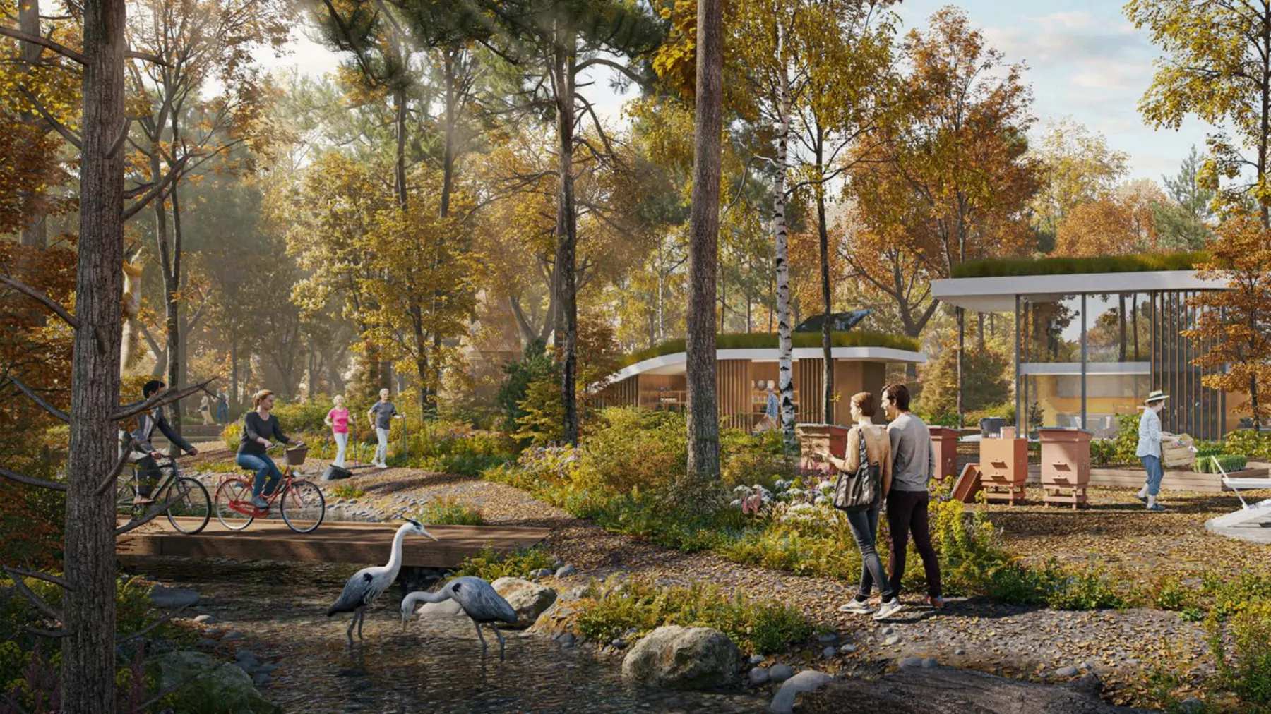Forest Fingers